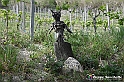 VBS_3202 - Mango (Cuneo) - Gnomovia